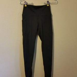 Buff Bunny Luna Carpi